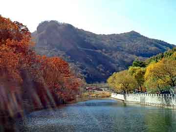 澳门期期准免费精准，地雷花